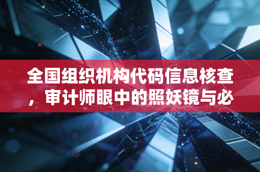 全国组织机构代码信息核查,审计师眼中的照妖镜与必修课