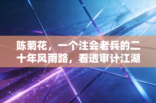 陈菊花,一个注会老兵的二十年风雨路,看透审计江湖的光与灰