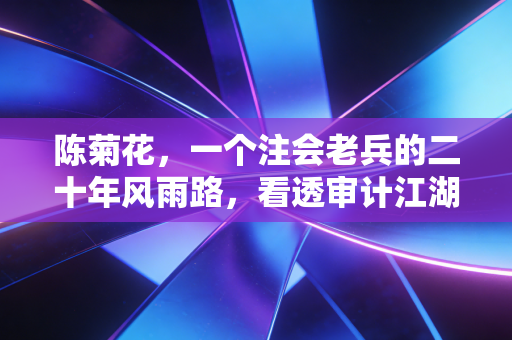 陈菊花,一个注会老兵的二十年风雨路,看透审计江湖的光与灰