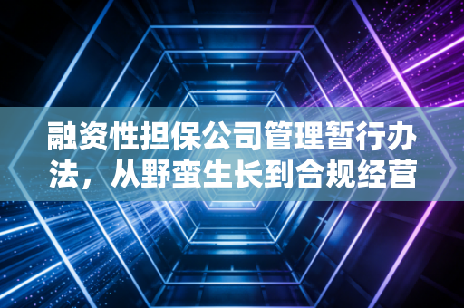 融资性担保公司管理暂行办法，从野蛮生长到合规经营的行业分水岭