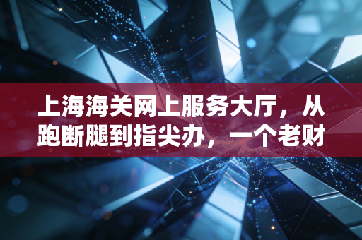 上海海关网上服务大厅，从跑断腿到指尖办，一个老财务眼中的通关变迁史