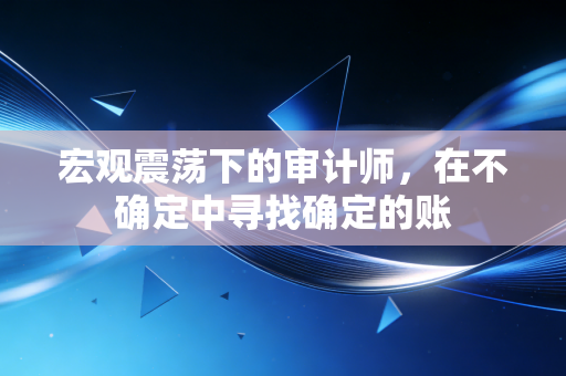 宏观震荡下的审计师,在不确定中寻找确定的账