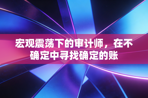 宏观震荡下的审计师,在不确定中寻找确定的账