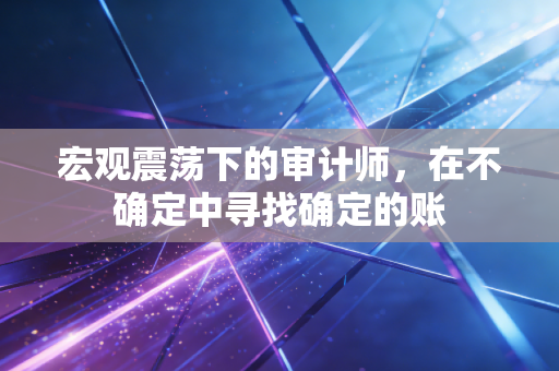 宏观震荡下的审计师，在不确定中寻找确定的账