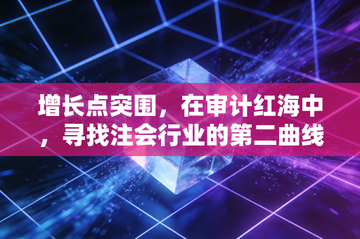 增长点突围，在审计红海中，寻找注会行业的第二曲线