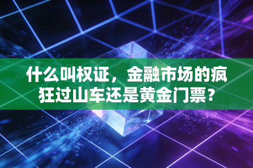 什么叫权证,金融市场的疯狂过山车还是黄金门票?