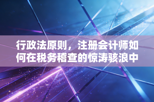 行政法原则，注册会计师如何在税务稽查的惊涛骇浪中守护企业底线