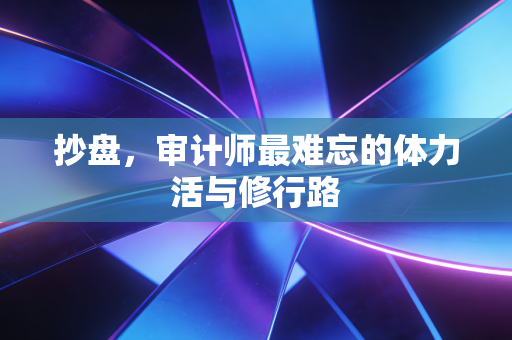 抄盘,审计师最难忘的体力活与修行路
