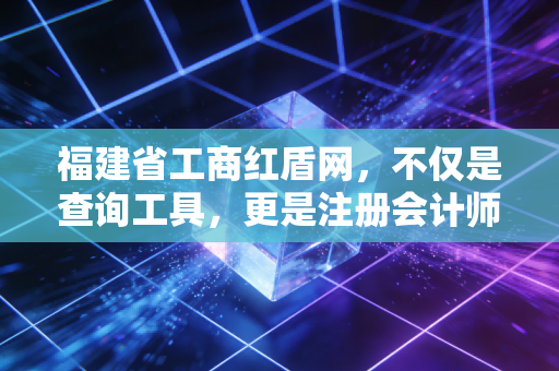 福建省工商红盾网,不仅是查询工具,更是注册会计师眼中的企业体检表