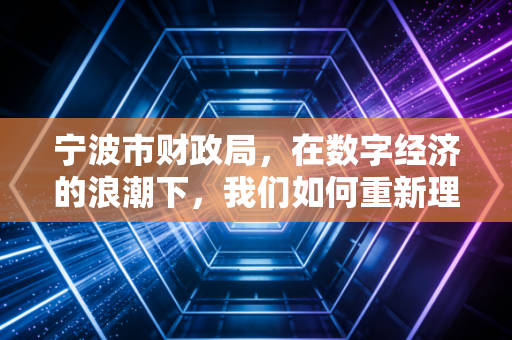 宁波市财政局，在数字经济的浪潮下，我们如何重新理解这位守门人？