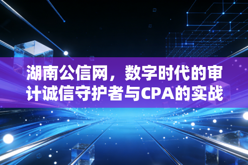 湖南公信网,数字时代的审计诚信守护者与CPA的实战思考