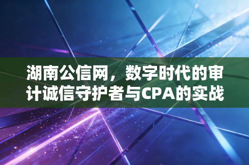 湖南公信网，数字时代的审计诚信守护者与CPA的实战思考