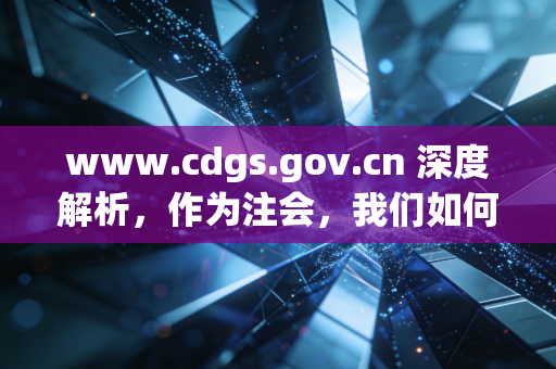 www.cdgs.gov.cn 深度解析，作为注会，我们如何透过官网数据看清企业的真实底色？