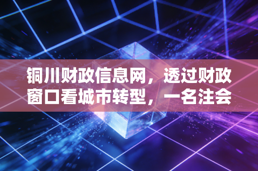 铜川财政信息网,透过财政窗口看城市转型,一名注会对透明化与政策落地的深度观察