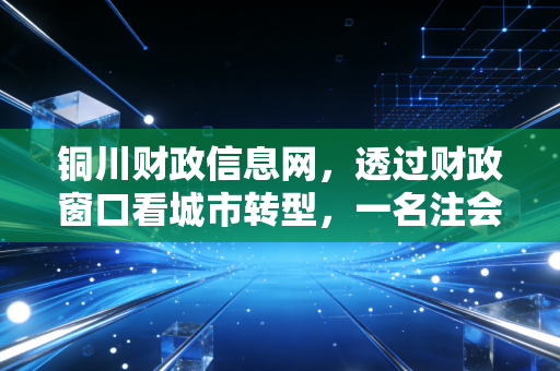 铜川财政信息网,透过财政窗口看城市转型,一名注会对透明化与政策落地的深度观察