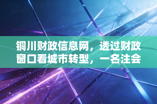 铜川财政信息网，透过财政窗口看城市转型，一名注会对透明化与政策落地的深度观察
