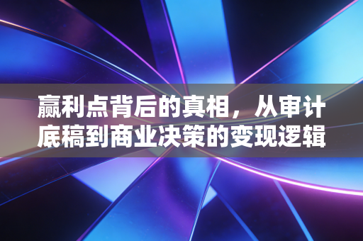 赢利点背后的真相,从审计底稿到商业决策的变现逻辑