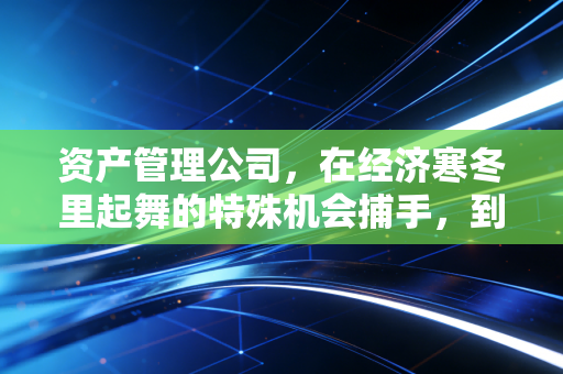 资产管理公司,在经济寒冬里起舞的特殊机会捕手,到底在忙些什么?