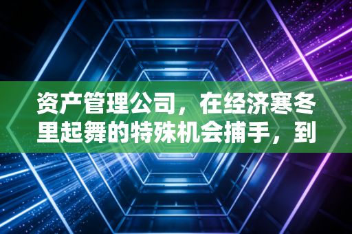 资产管理公司，在经济寒冬里起舞的特殊机会捕手，到底在忙些什么？