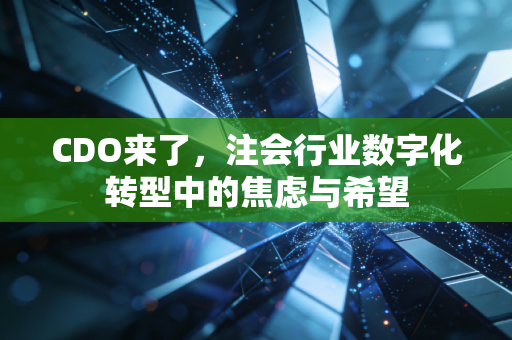 CDO来了,注会行业数字化转型中的焦虑与希望
