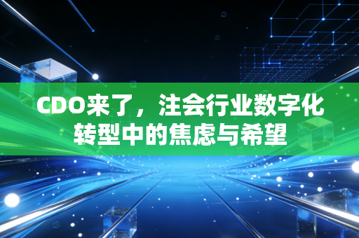 CDO来了，注会行业数字化转型中的焦虑与希望
