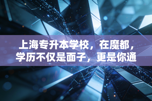 上海专升本学校,在魔都,学历不仅是面子,更是你通往CPA高薪的入场券