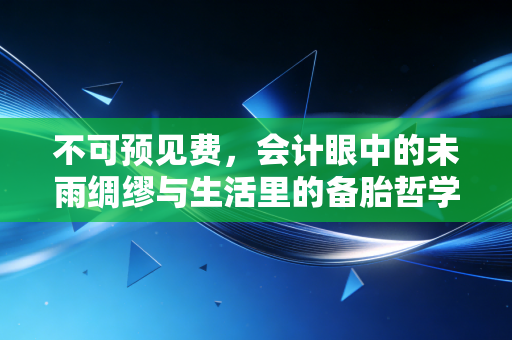 不可预见费，会计眼中的未雨绸缪与生活里的备胎哲学
