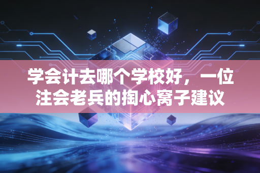 学会计去哪个学校好,一位注会老兵的掏心窝子建议