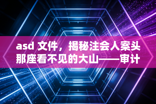 asd 文件，揭秘注会人案头那座看不见的大山——审计底稿的血泪与荣光