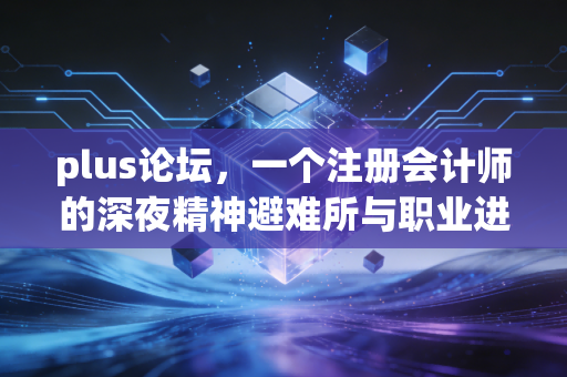 plus论坛,一个注册会计师的深夜精神避难所与职业进阶指南