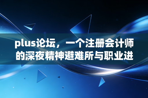 plus论坛，一个注册会计师的深夜精神避难所与职业进阶指南
