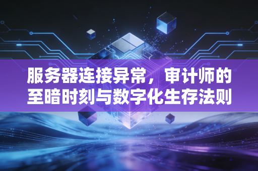 服务器连接异常，审计师的至暗时刻与数字化生存法则
