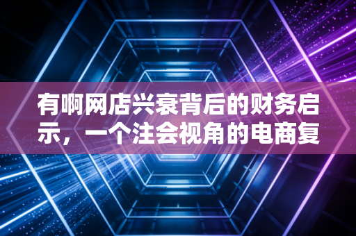 有啊网店兴衰背后的财务启示，一个注会视角的电商复盘与思考