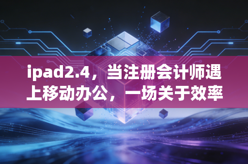 ipad2.4,当注册会计师遇上移动办公,一场关于效率与自由的革命
