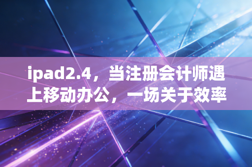ipad2.4,当注册会计师遇上移动办公,一场关于效率与自由的革命