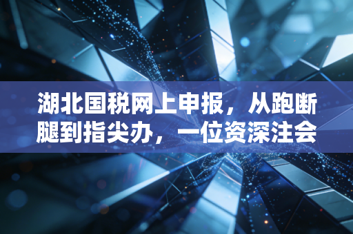 湖北国税网上申报,从跑断腿到指尖办,一位资深注会眼中的实操进化论