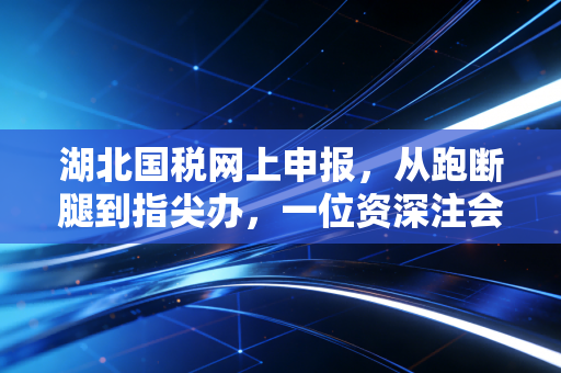 湖北国税网上申报,从跑断腿到指尖办,一位资深注会眼中的实操进化论