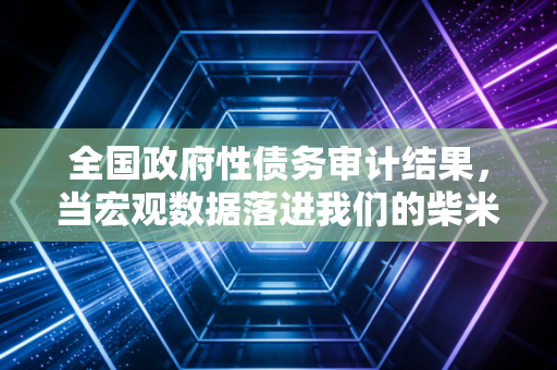 全国政府性债务审计结果,当宏观数据落进我们的柴米油盐,我们该慌吗?