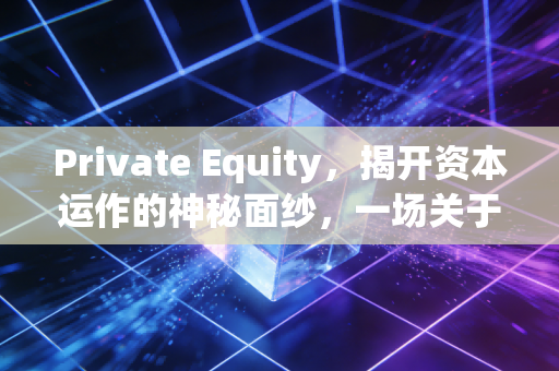 Private Equity,揭开资本运作的神秘面纱,一场关于价值发现与重塑的博弈
