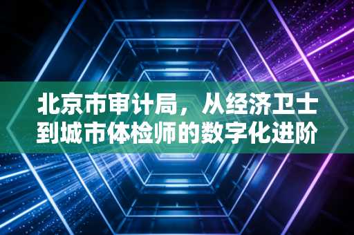 北京市审计局，从经济卫士到城市体检师的数字化进阶之路