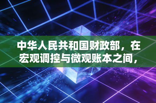 中华人民共和国财政部，在宏观调控与微观账本之间，注会人的爱恨与坚守