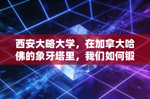 西安大略大学,在加拿大哈佛的象牙塔里,我们如何锻造出顶级CPA精英?