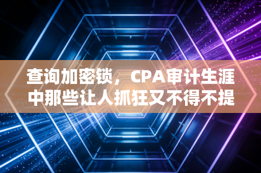 查询加密锁,CPA审计生涯中那些让人抓狂又不得不提的救命稻草
