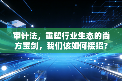审计法,重塑行业生态的尚方宝剑,我们该如何接招?