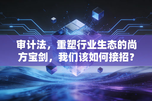 审计法,重塑行业生态的尚方宝剑,我们该如何接招?