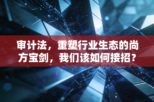 审计法，重塑行业生态的尚方宝剑，我们该如何接招？