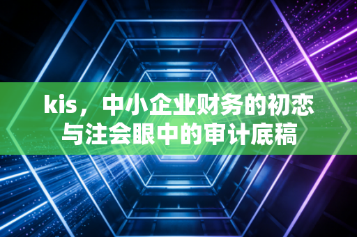 kis,中小企业财务的初恋与注会眼中的审计底稿