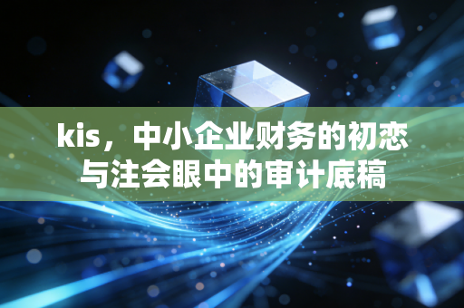 kis,中小企业财务的初恋与注会眼中的审计底稿