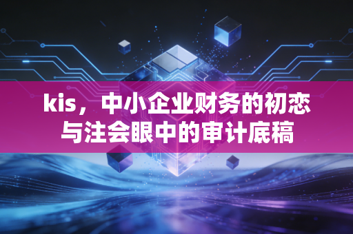 kis，中小企业财务的初恋与注会眼中的审计底稿