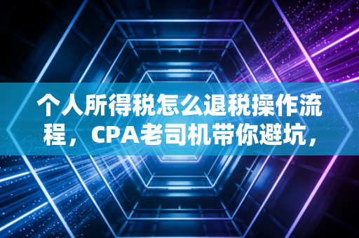 个人所得税怎么退税操作流程，CPA老司机带你避坑，把多交的钱一分不少拿回来